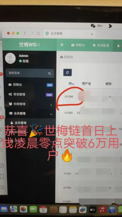 世梅链wsm：纯零撸公链超强背书，无需任何成本即可参与其中插图5